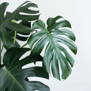 Meet your posher, Kaiya